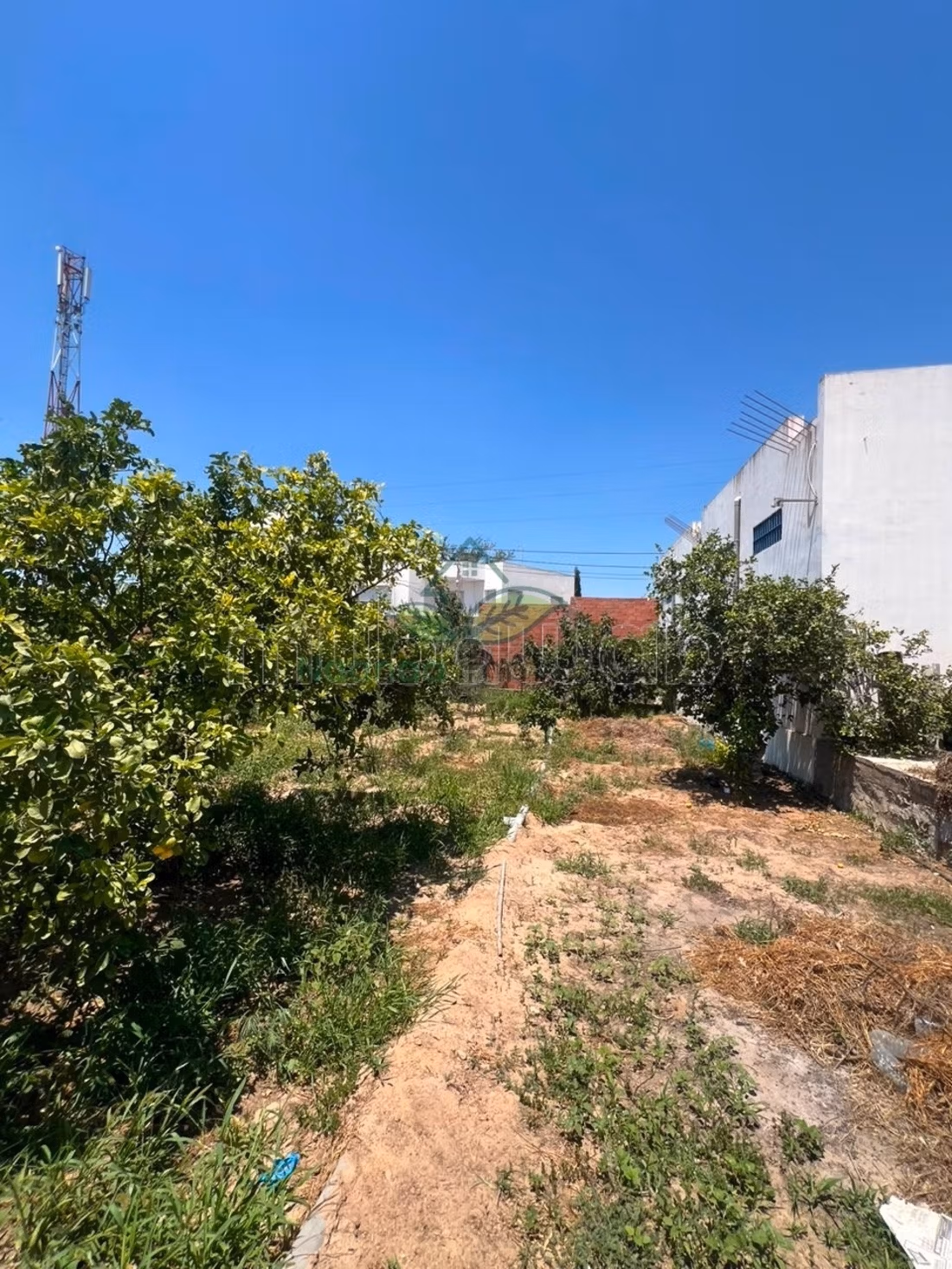 A vendre Appart S2 au RDC à Hammamet zone Craxi