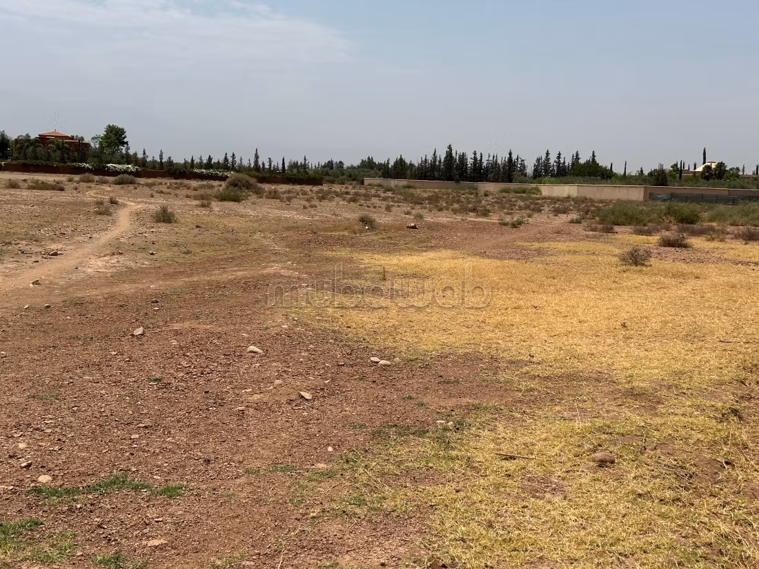 Terreno a comprar en Sidi Abdallah Ghiat. Superficie 10,500 m²