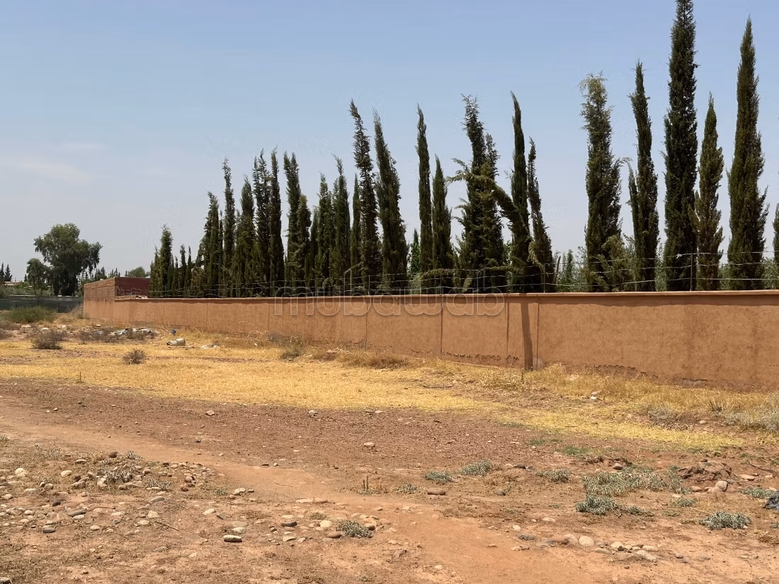 Terreno a comprar en Sidi Abdallah Ghiat. Superficie 10,500 m²