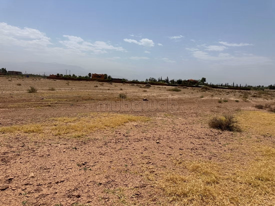 Terreno a comprar en Sidi Abdallah Ghiat. Superficie 10,500 m²