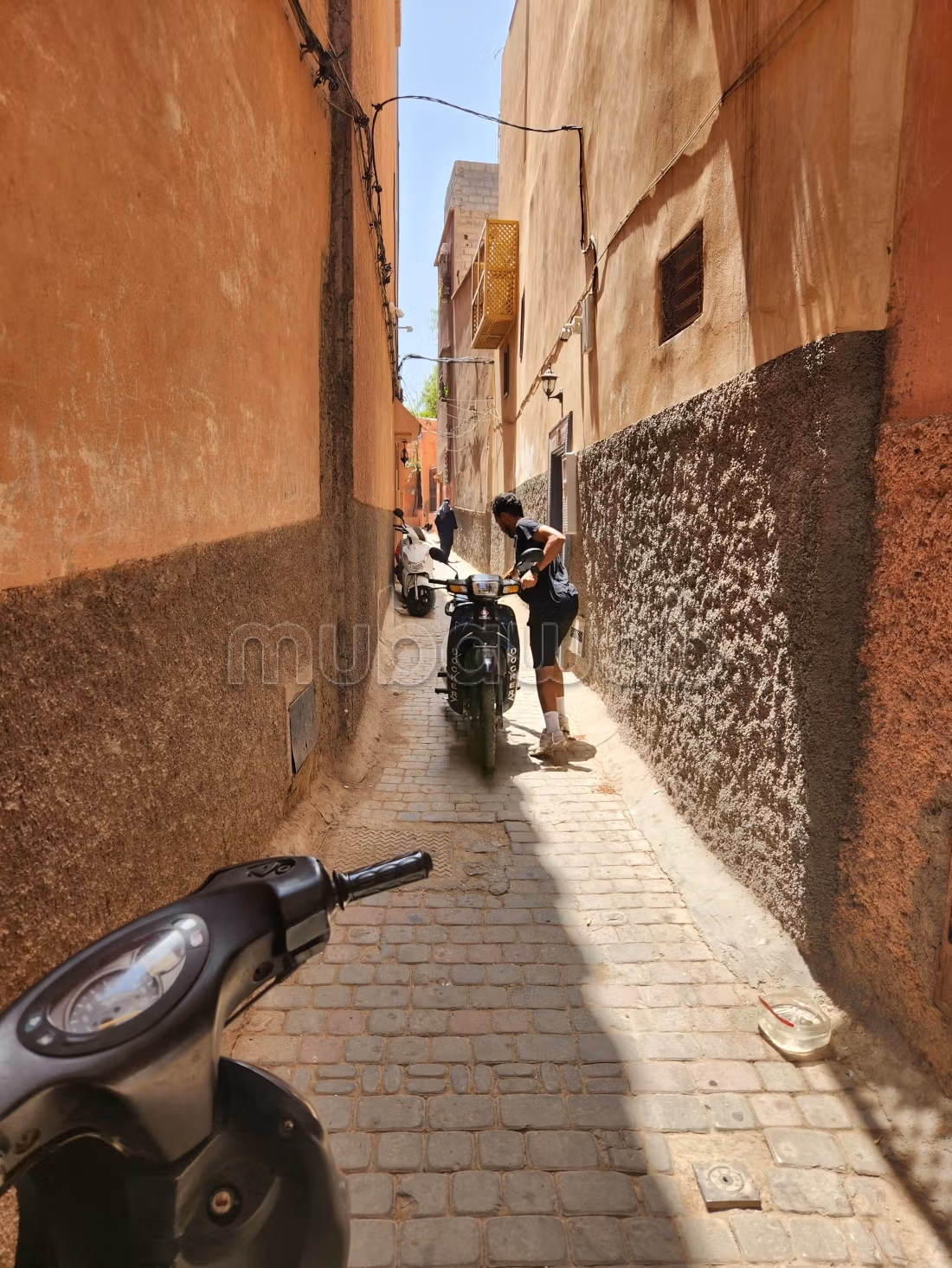 رياض العروس