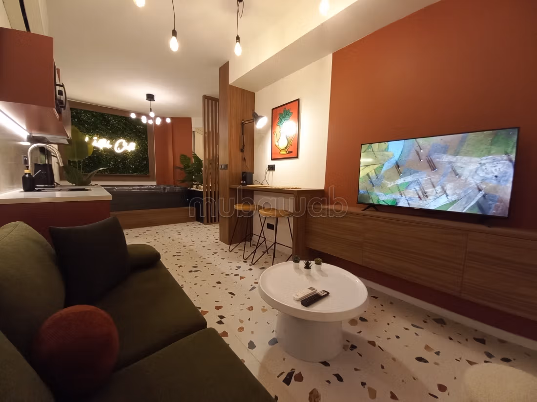 2 moderne gerenoveerde studio's te koop