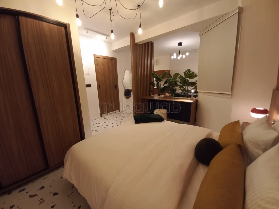 2 moderne gerenoveerde studio's te koop