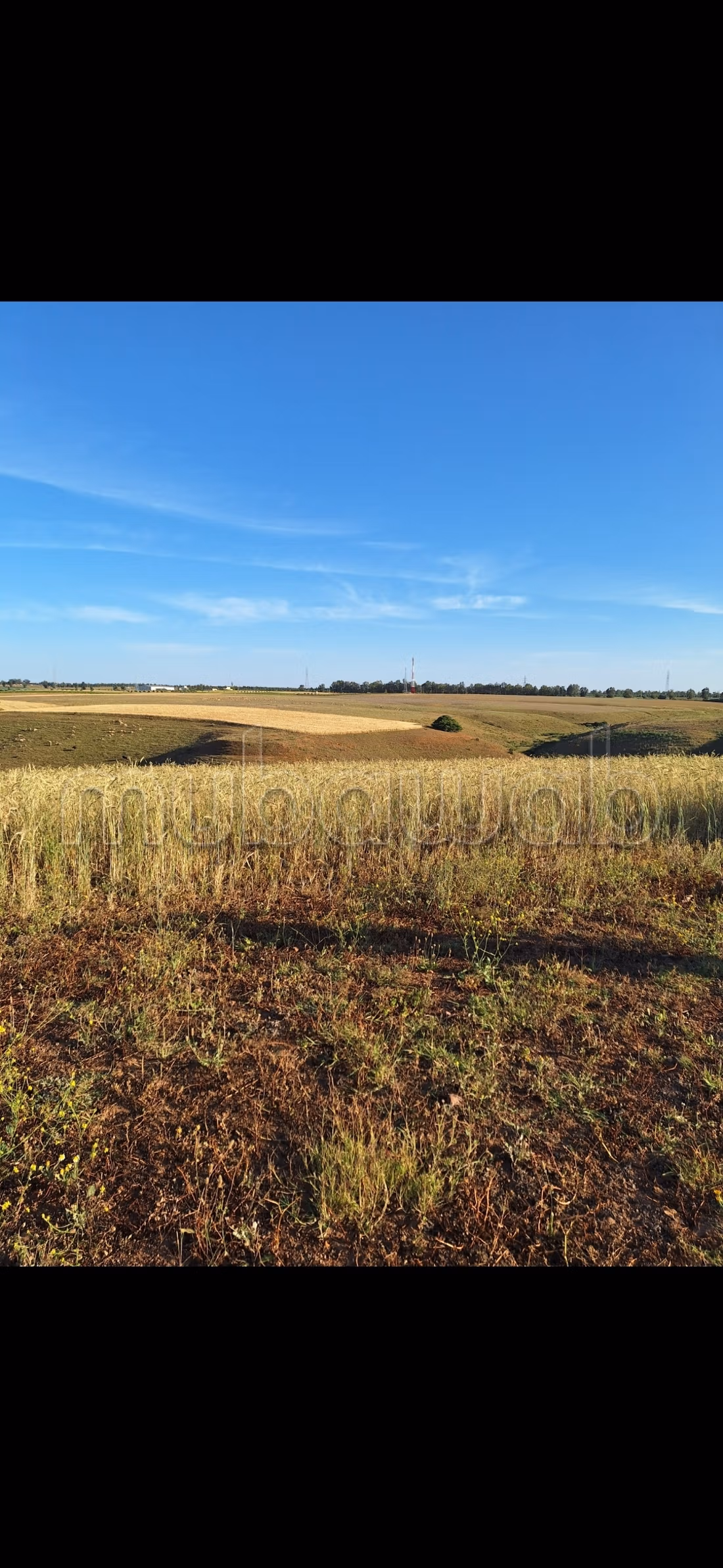 Ferme agricole