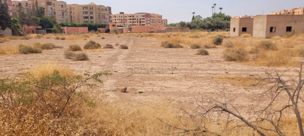 Vente terrain à Route d'Agadir Essaouira. Surface de 12000 m²