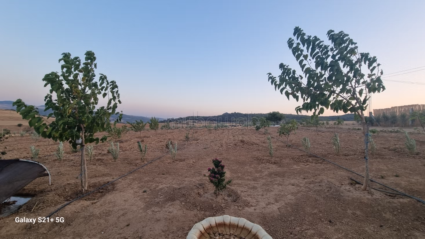Exceptional Olive Oil & Residential Domain – Sloughia Testour — Absolute Turnkey
