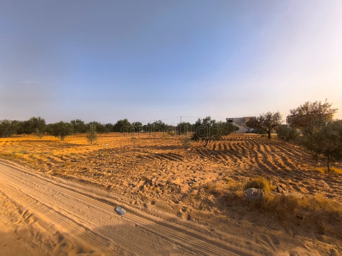 Land 2045m² Divisible Rt El Ain Km17