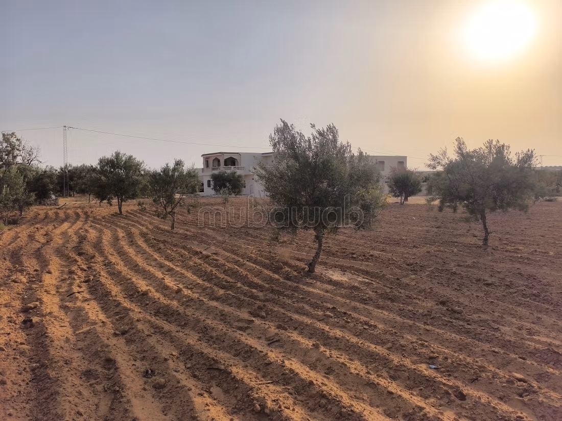 Land 2045m² Divisible Rt El Ain Km17