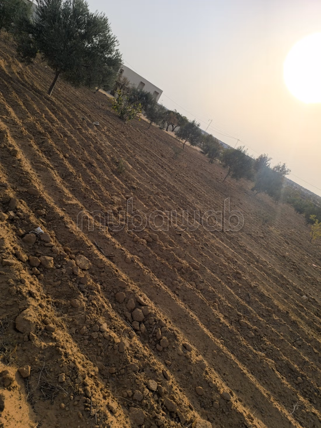 Land 2045m² Divisible Rt El Ain Km17