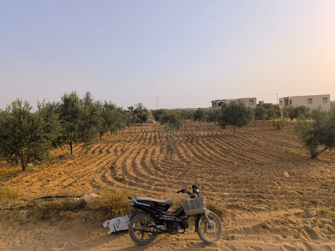 Land 2045m² Divisible Rt El Ain Km17