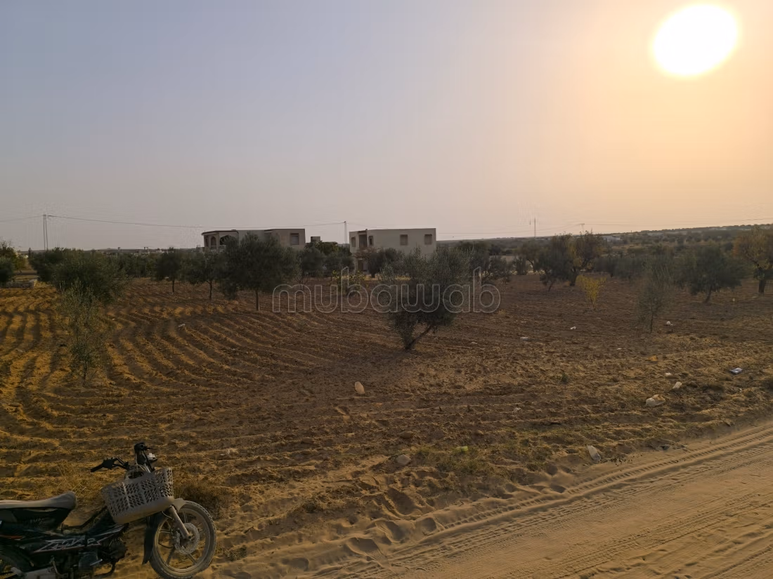 Land 2045m² Divisible Rt El Ain Km17