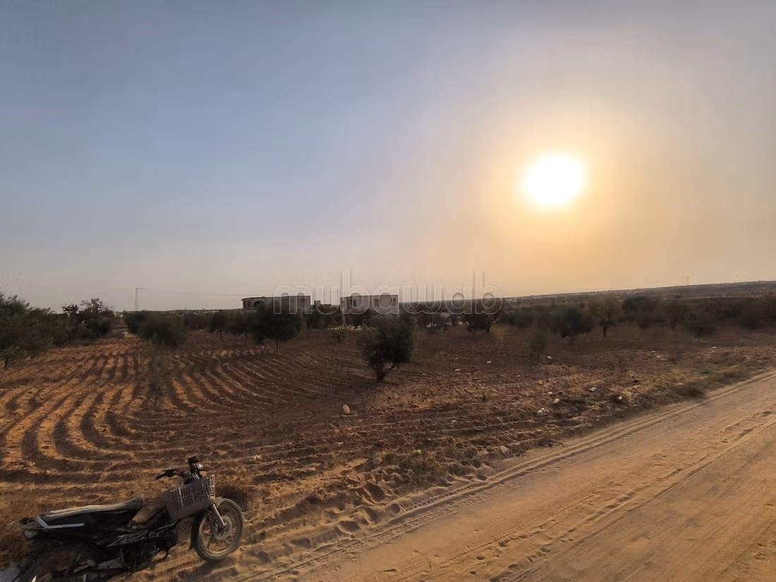 Land 2045m² Divisible Rt El Ain Km17