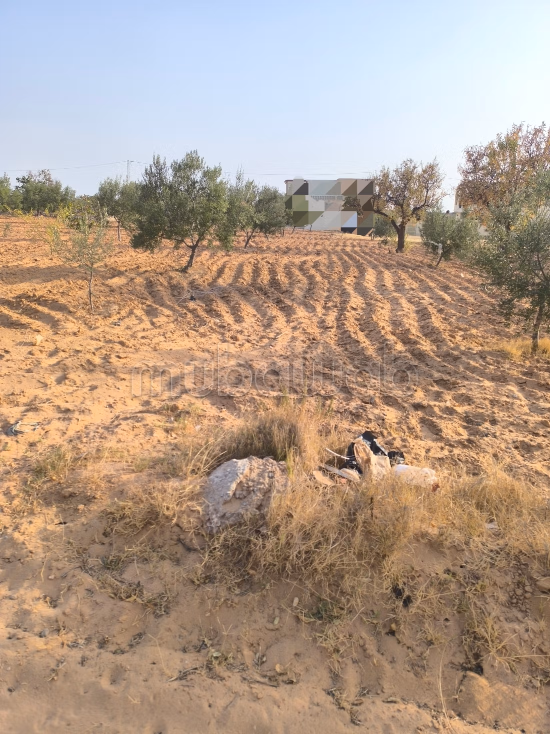 Land 2045m² Divisible Rt El Ain Km17