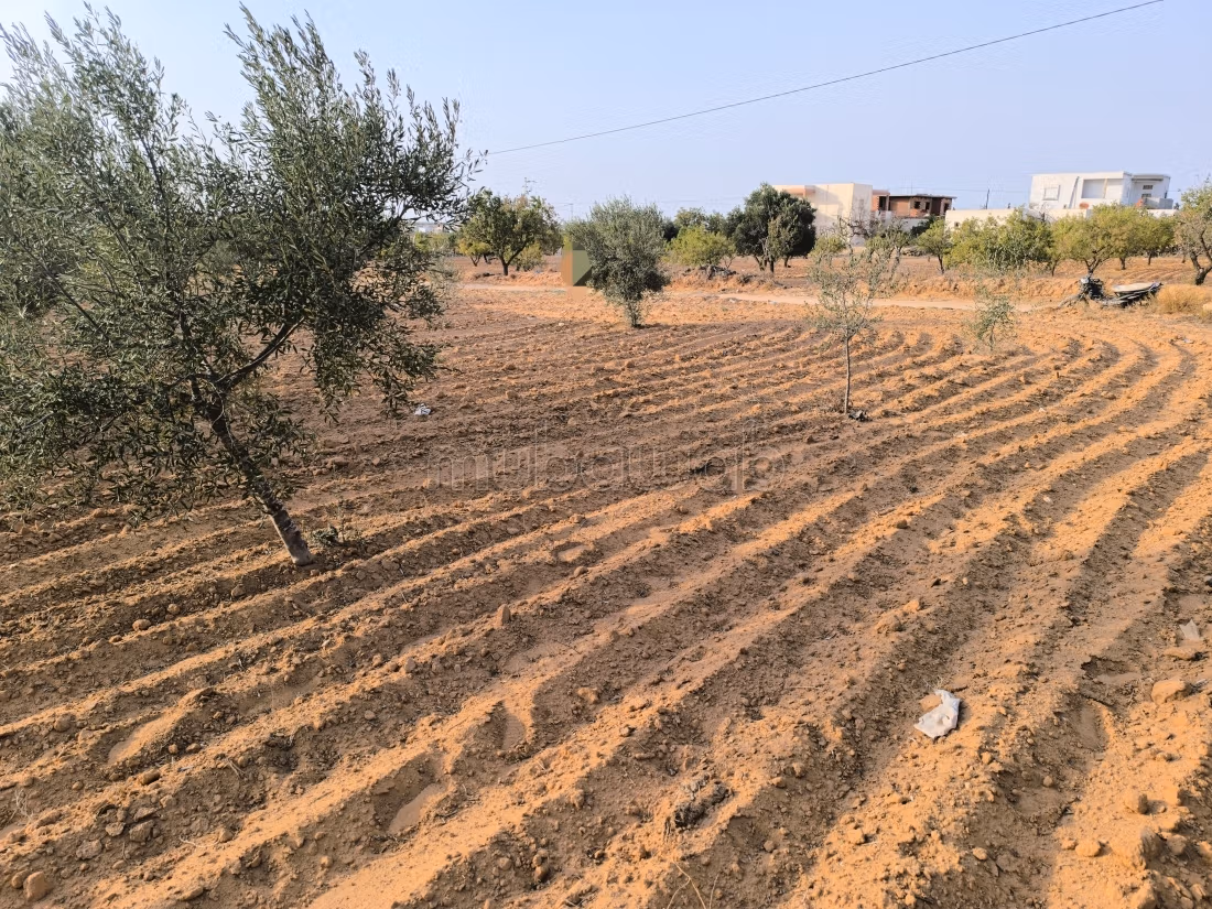 Land 2045m² Divisible Rt El Ain Km17