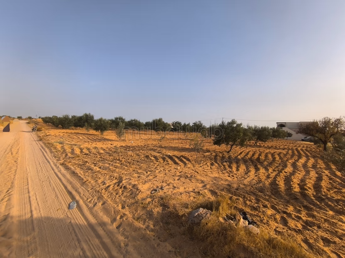 Land 2045m² Divisible Rt El Ain Km17