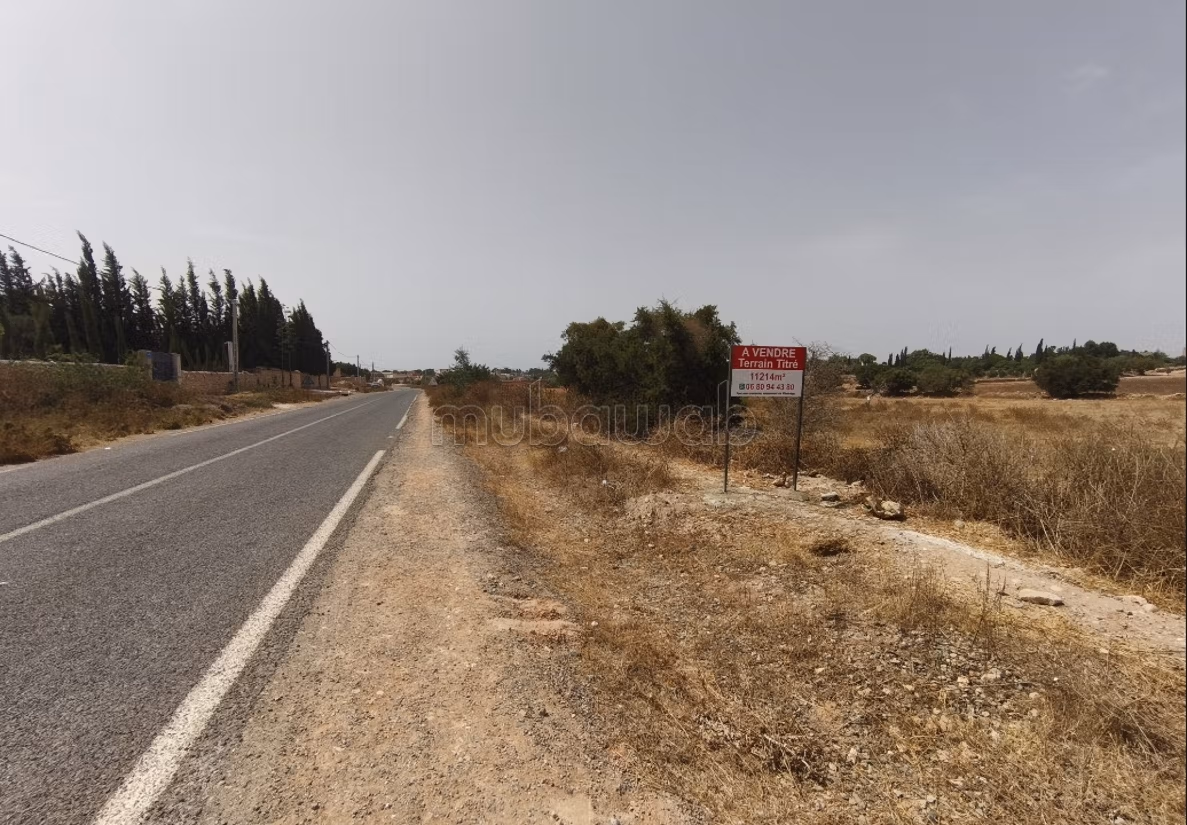 Terrain titré 11 214 m² à Bouzama, 
110 m façade sur route