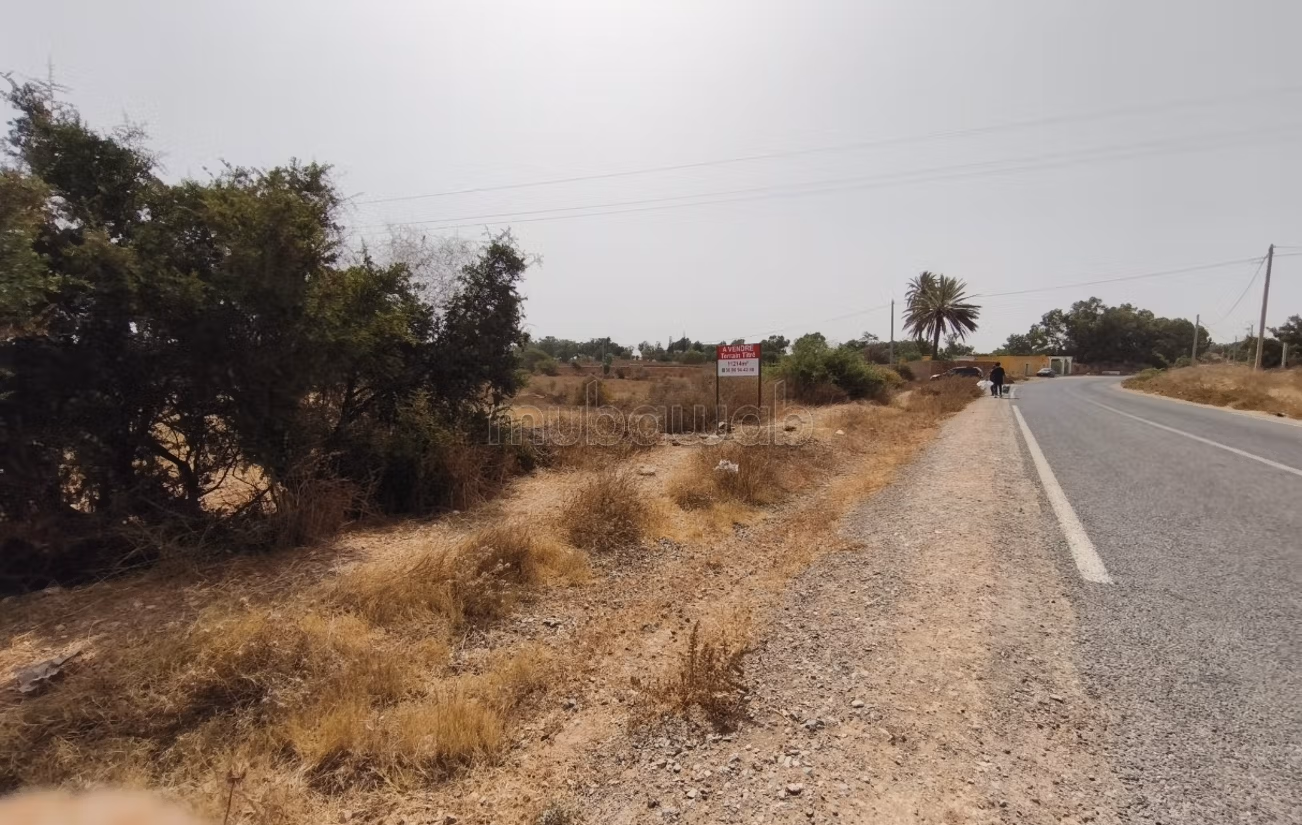 Terrain titré 11 214 m² à Bouzama, 
110 m façade sur route