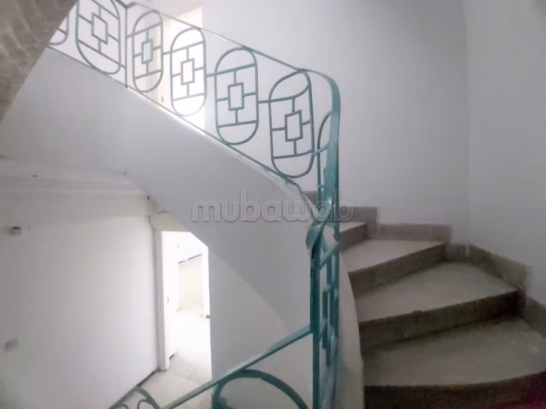 3 piani ad uso professionale
