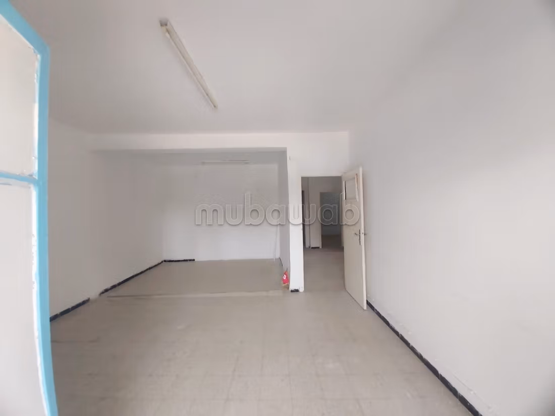 3 piani ad uso professionale
