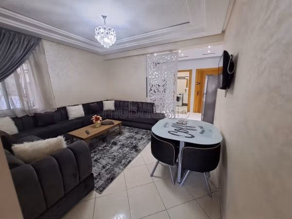 Furnished Apartment in the Heart of the City
