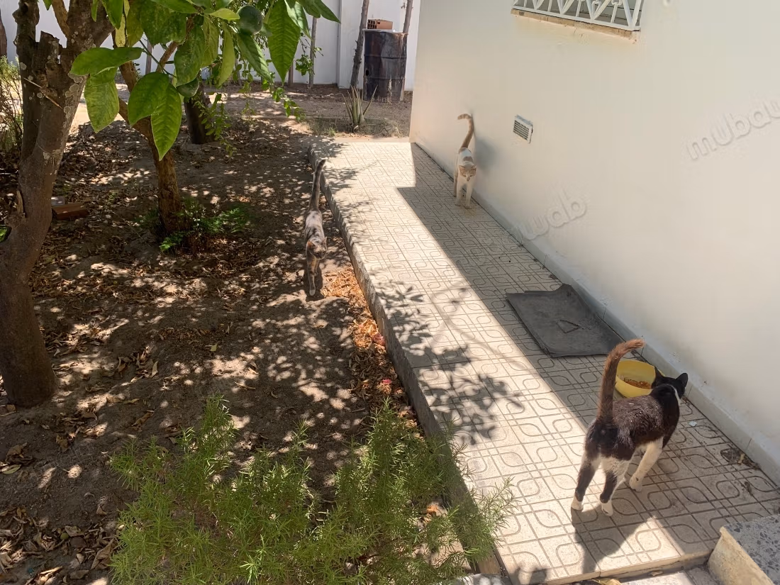 Maison jardin directement proprietaire