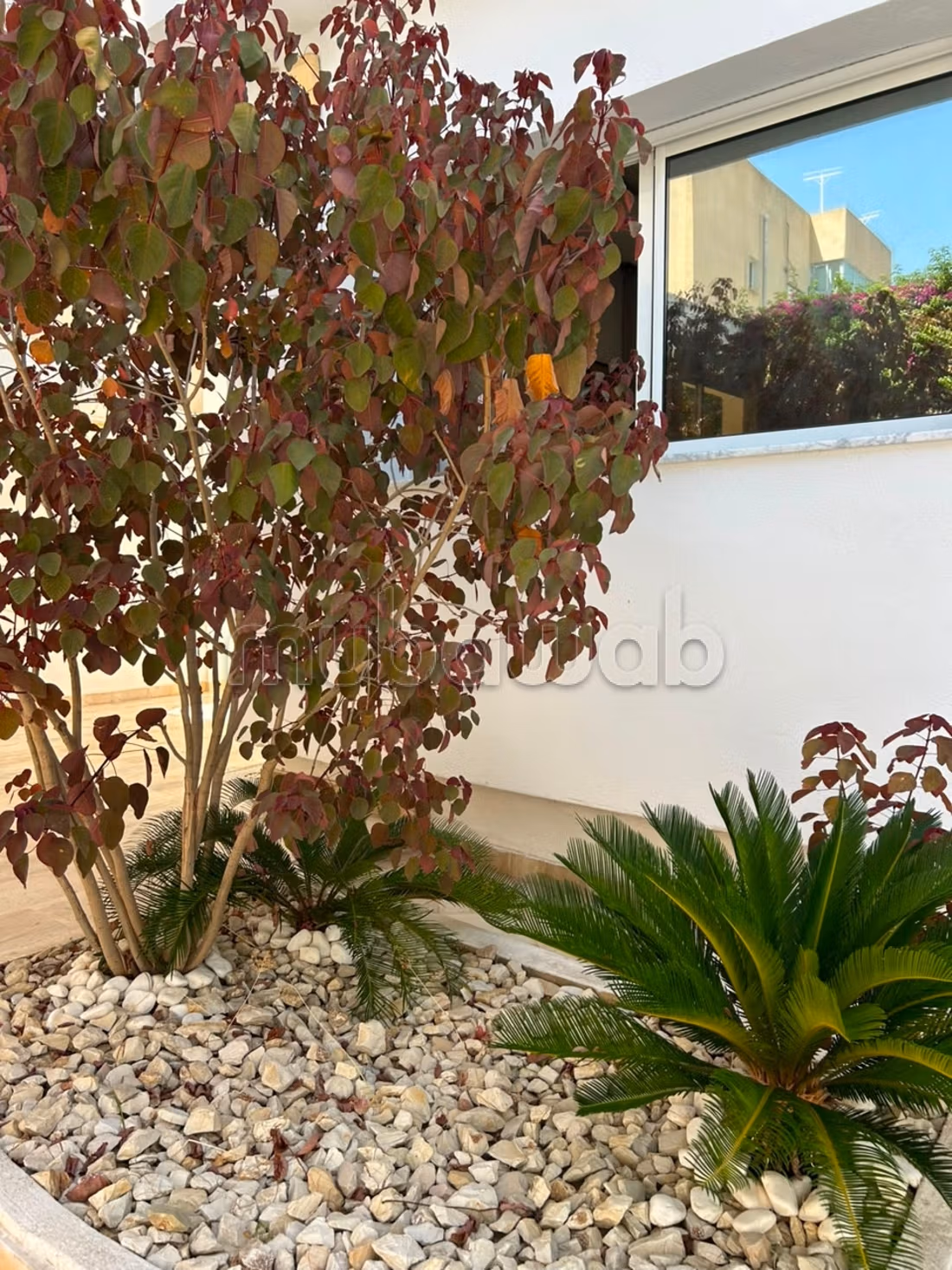 Villa arredata in affitto a La Marsa