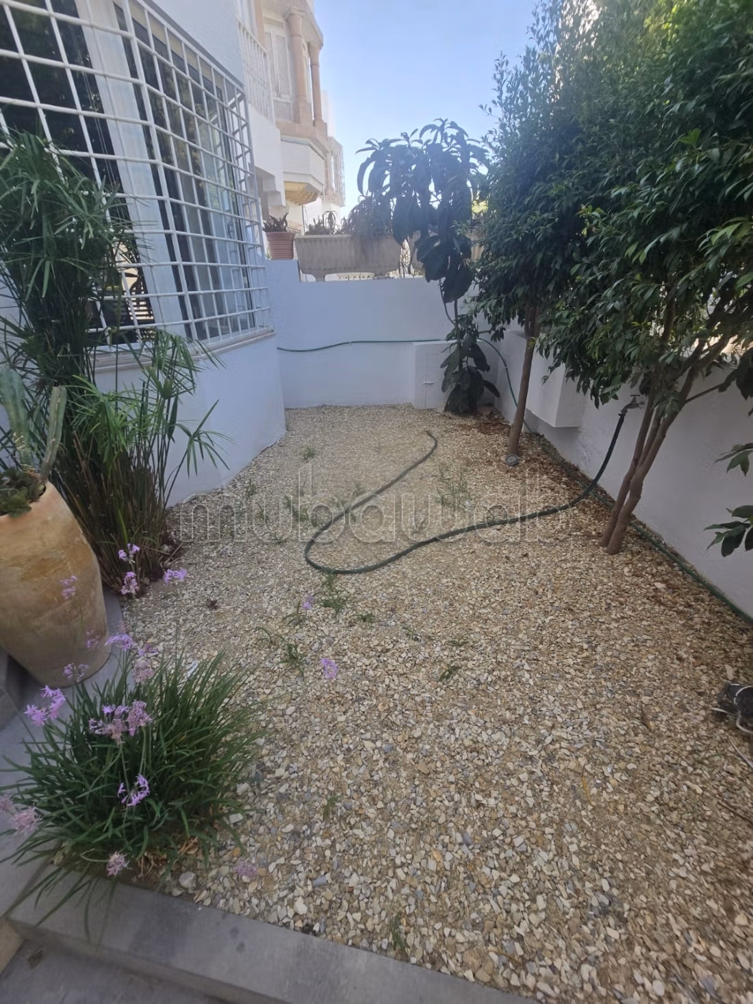 Villa jumelée meublée aux jardins de carthage