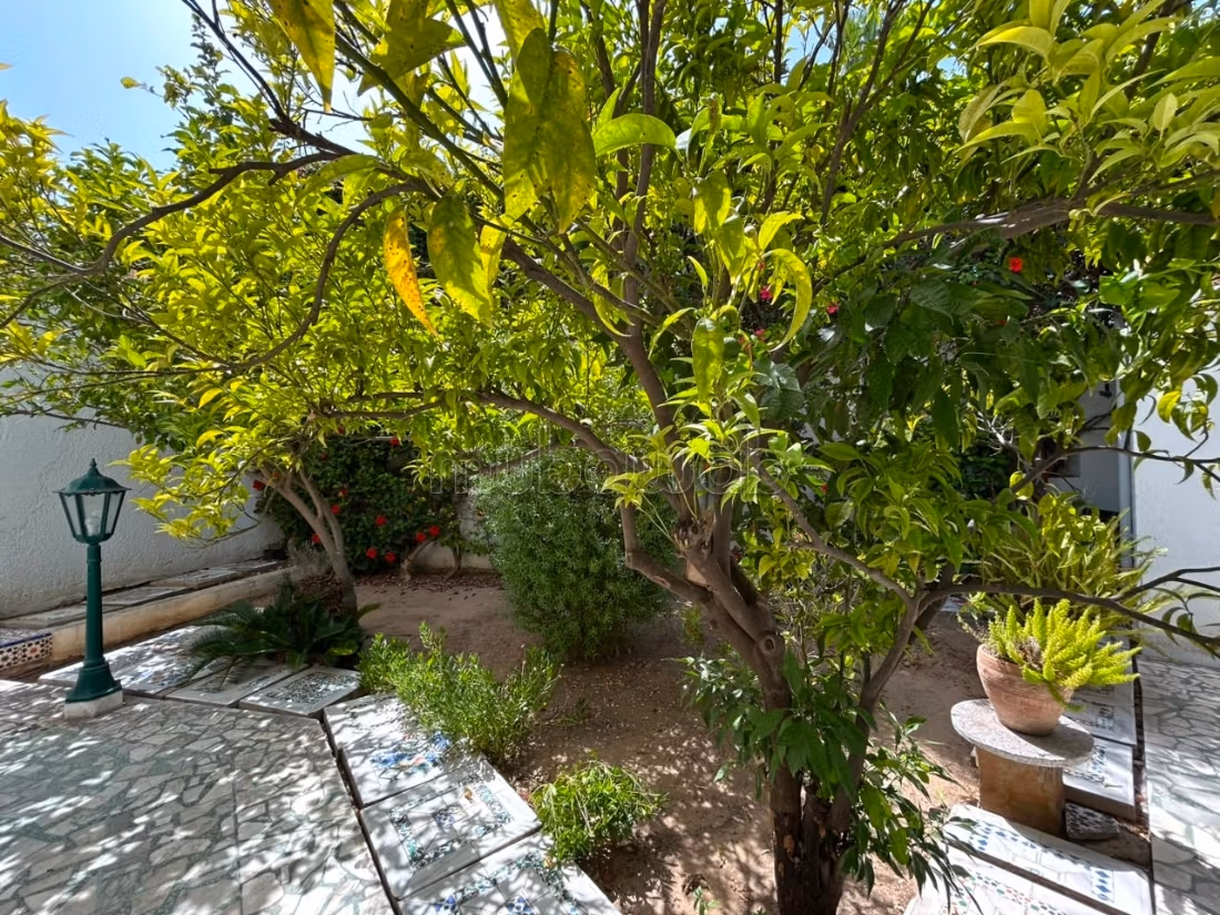 Villa in affitto con piscina a Marsa