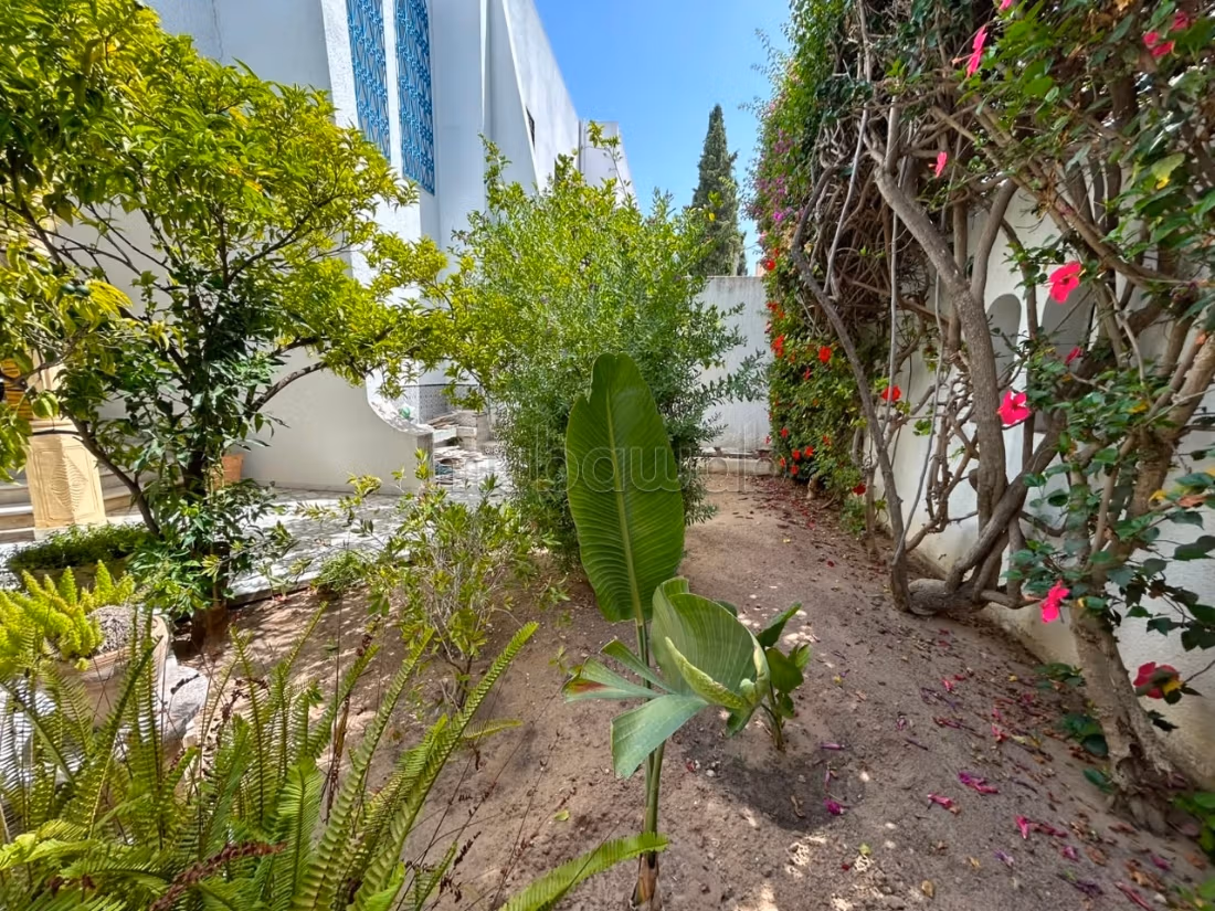 Villa in affitto con piscina a Marsa