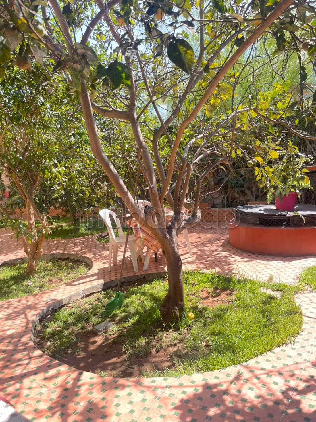 Villa abitabile e commerciale Hay Riad