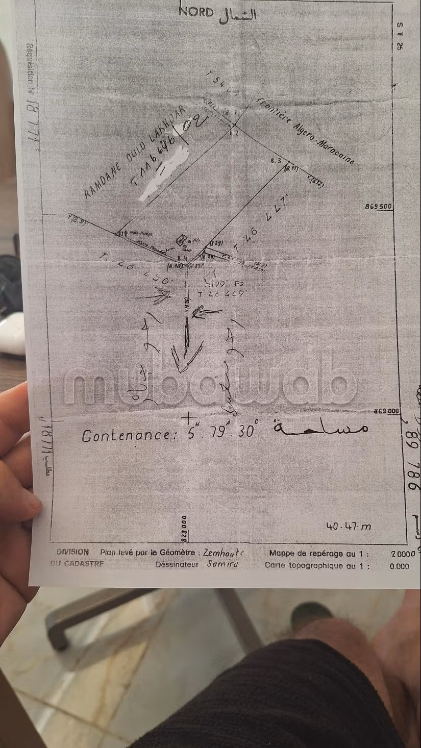 Vind je boerderij Stam van Angad douar Ouled al Malha/Oujda. Totale oppervlakte 57930 m²