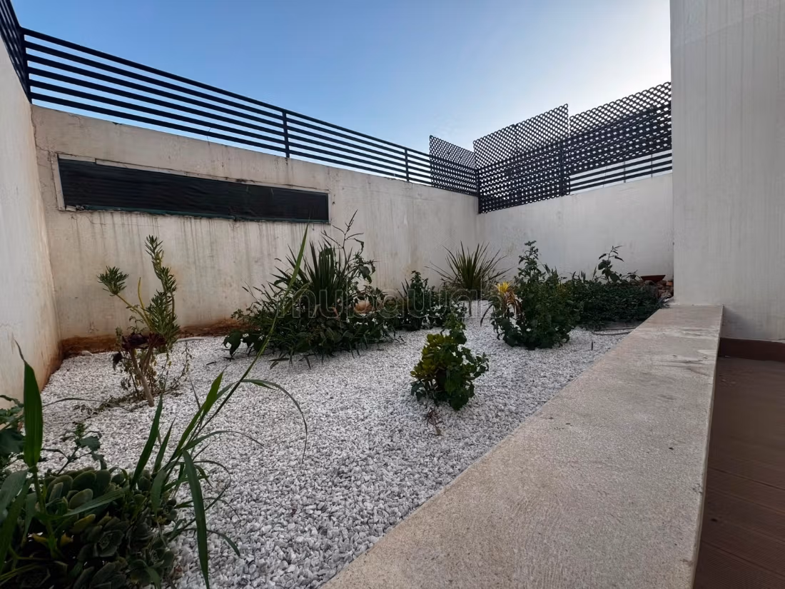 À VENDRE – Grand Studio avec Terrasse & Jardin Titrés – Quartier Palmier — 3