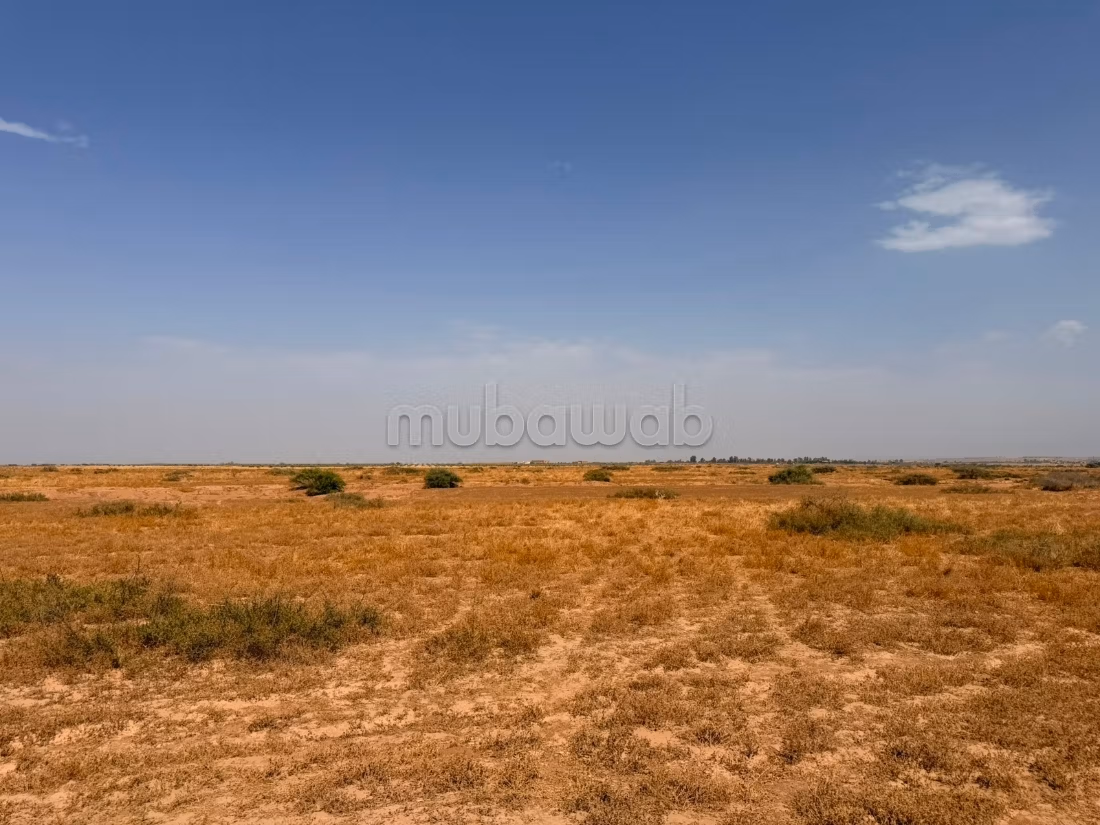 Grond van 1 hectare Route d'Amizmiz, Km 17