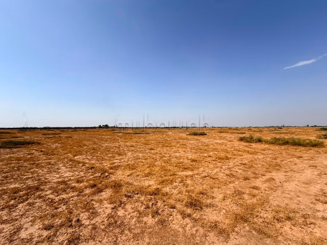 Grond van 1 hectare Route d'Amizmiz, Km 17