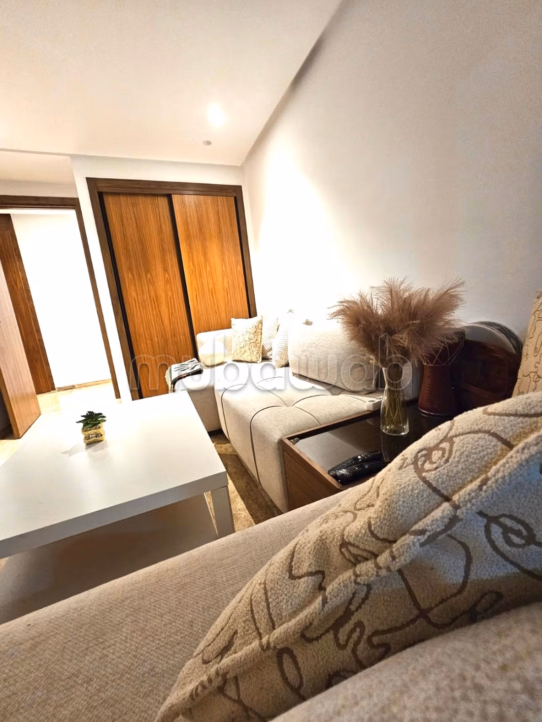Magnifique appartement meublé ou vide