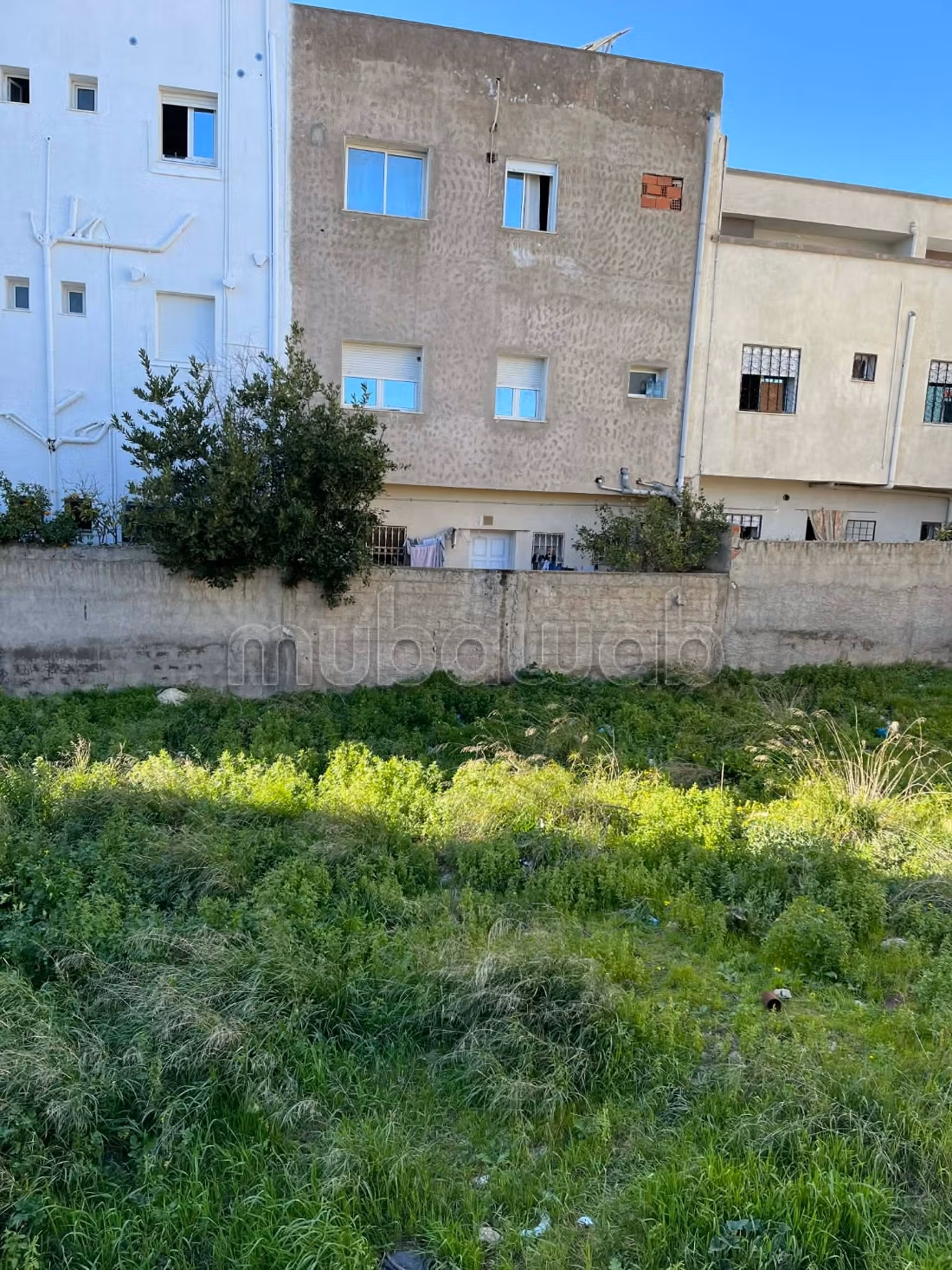 3 lotti di terreno edificabili a Douar Hicher
