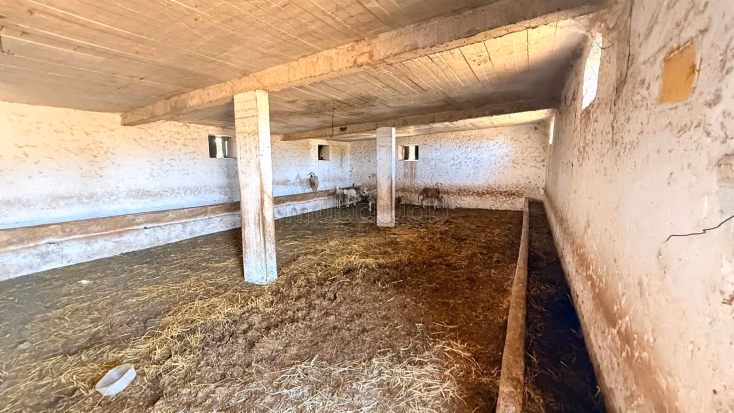 Magnifieke volledig uitgeruste boerderij van 2 hectare te koop