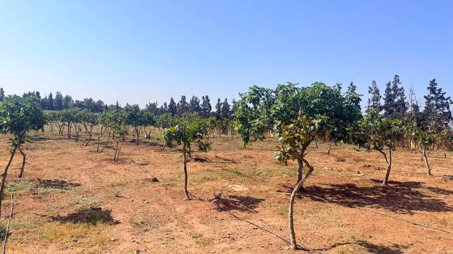 Magnifieke volledig uitgeruste boerderij van 2 hectare te koop