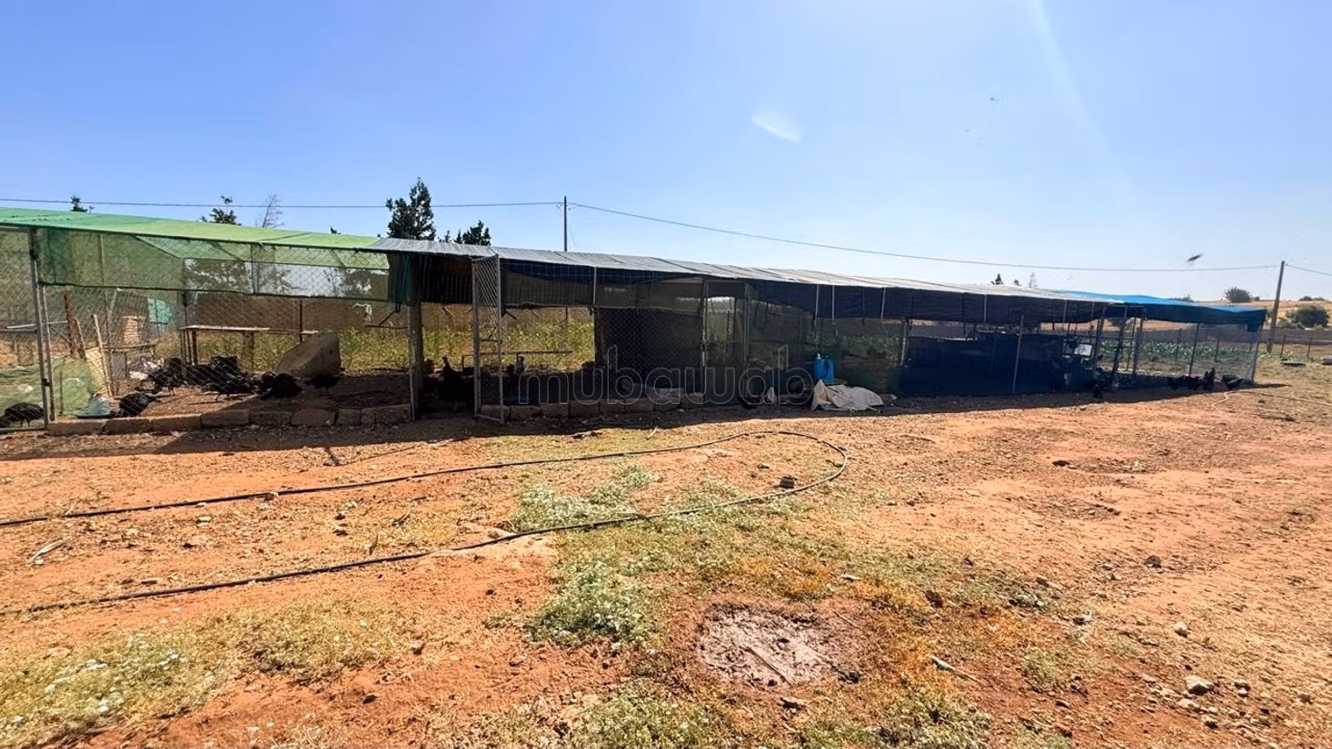 Magnifieke volledig uitgeruste boerderij van 2 hectare te koop