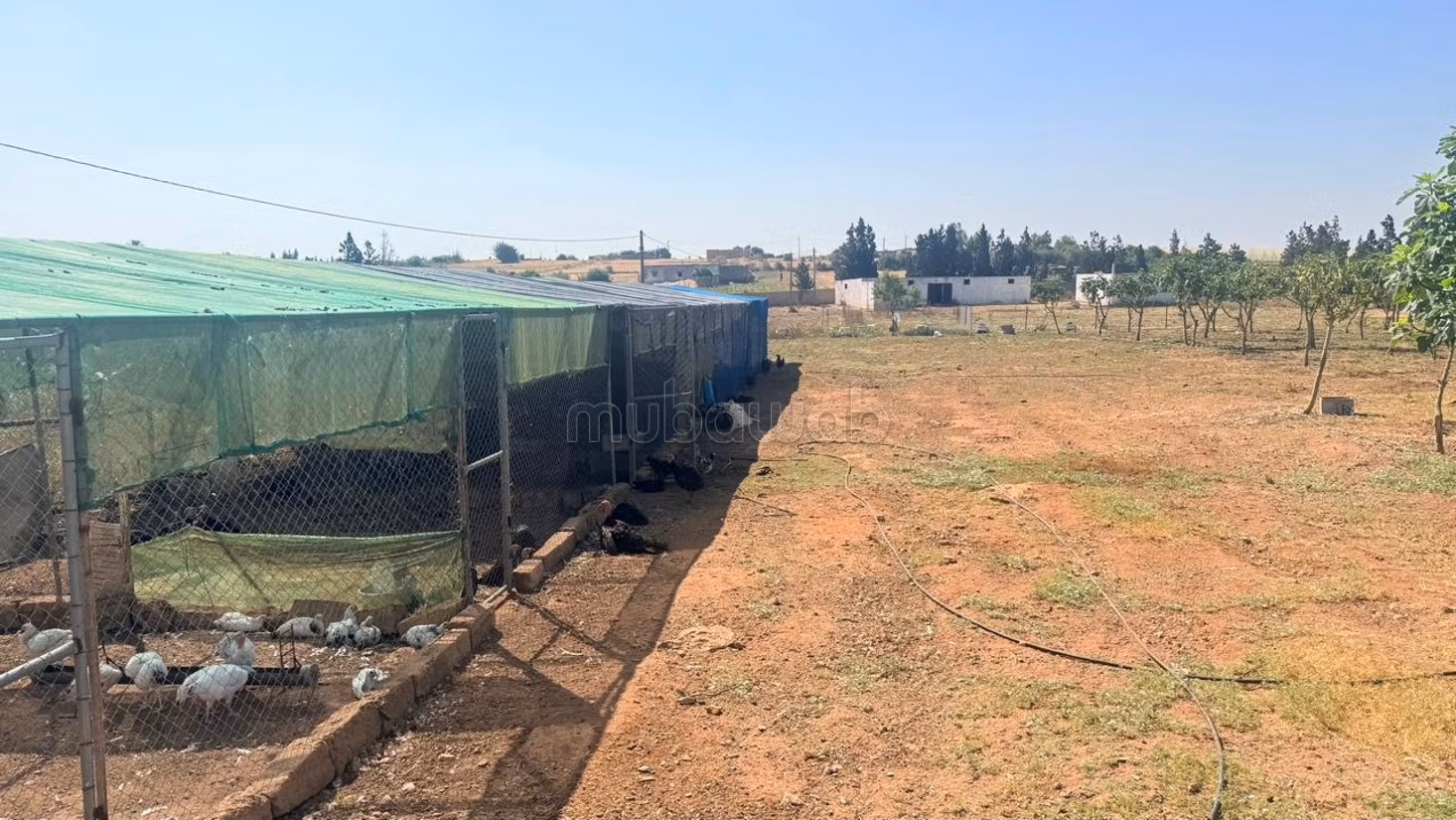Magnifieke volledig uitgeruste boerderij van 2 hectare te koop