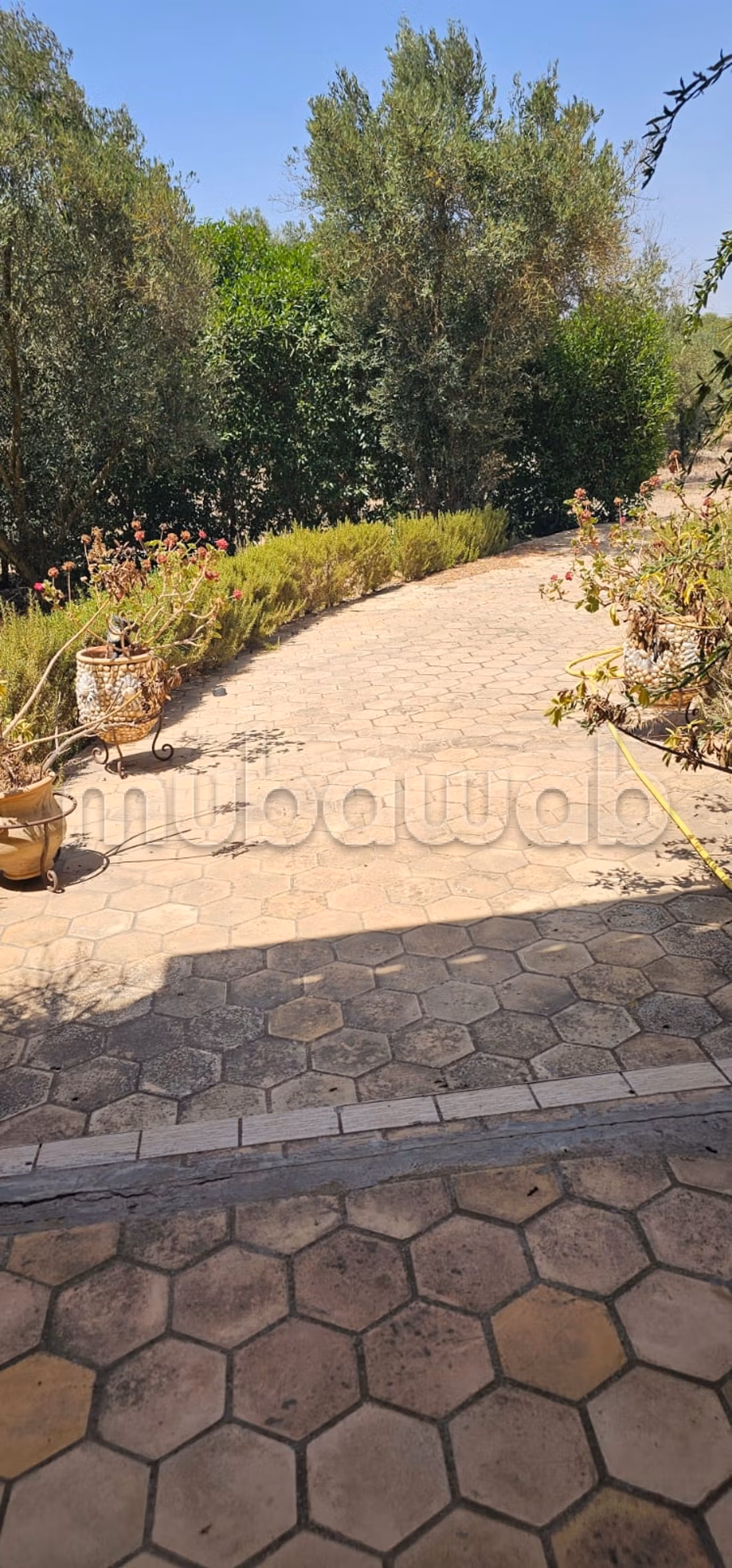 Fattoria in affitto - Bouskoura, Ouled Saleh