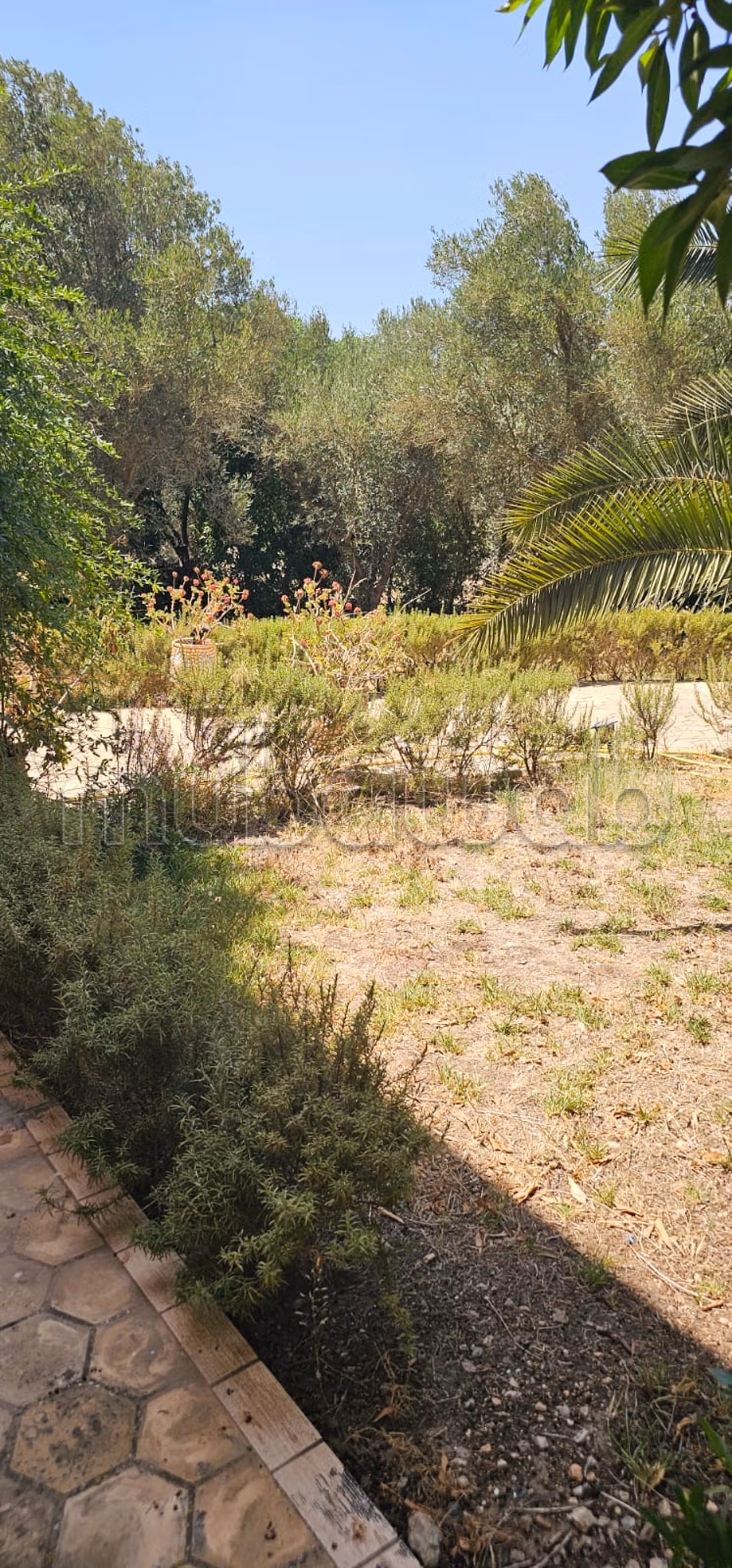 Fattoria in affitto - Bouskoura, Ouled Saleh