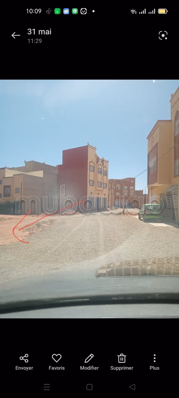 Terrain almajd1 
tinghir