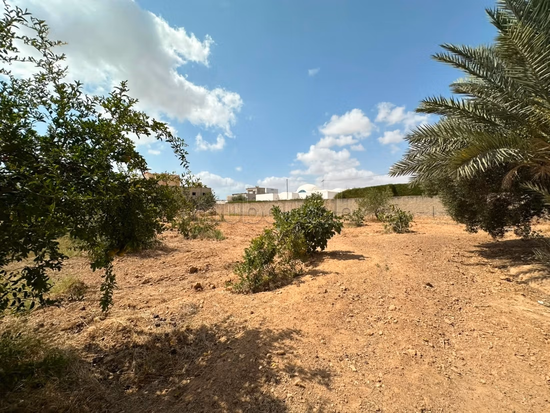 Terrain 676m for sale - El Ain Road Km 4