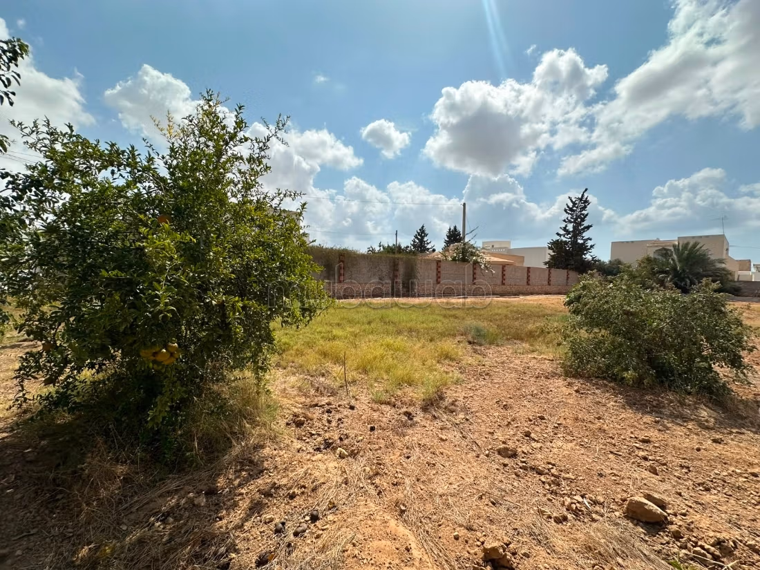 Terrain 676m for sale - El Ain Road Km 4