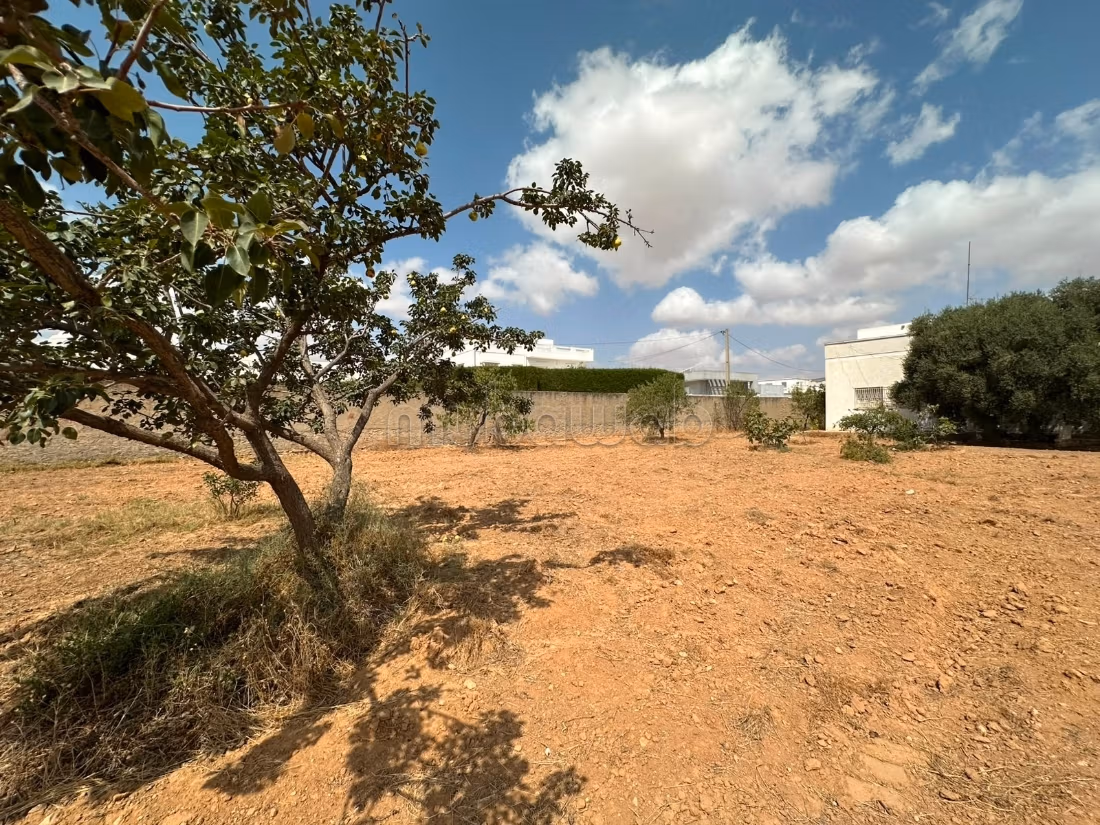 Terrain 676m for sale - El Ain Road Km 4