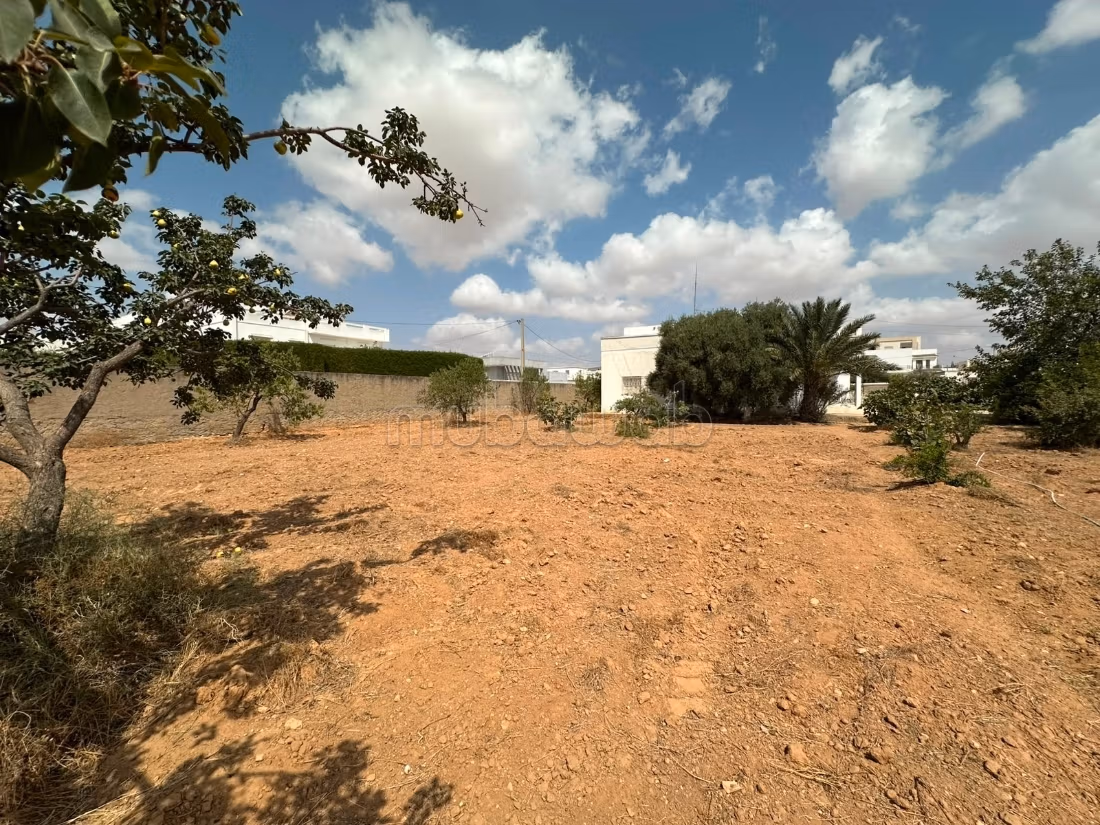 Terrain 676m for sale - El Ain Road Km 4