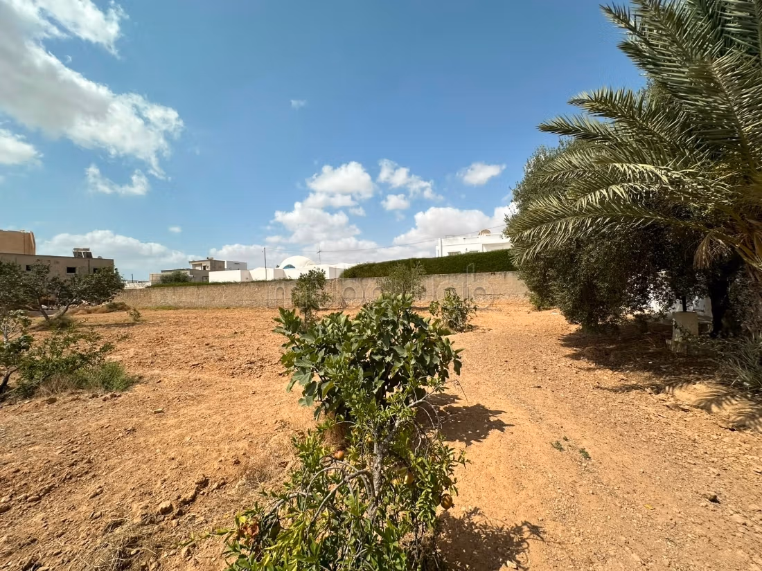 Terrain 676m for sale - El Ain Road Km 4