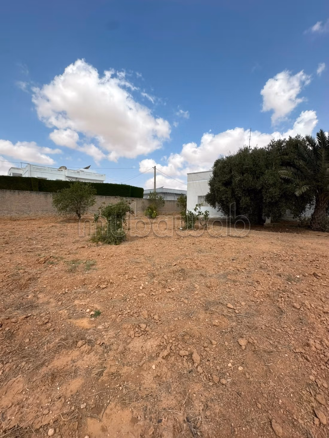 Terrain de 1 334 m² à vendre – Route El Ain Km 4