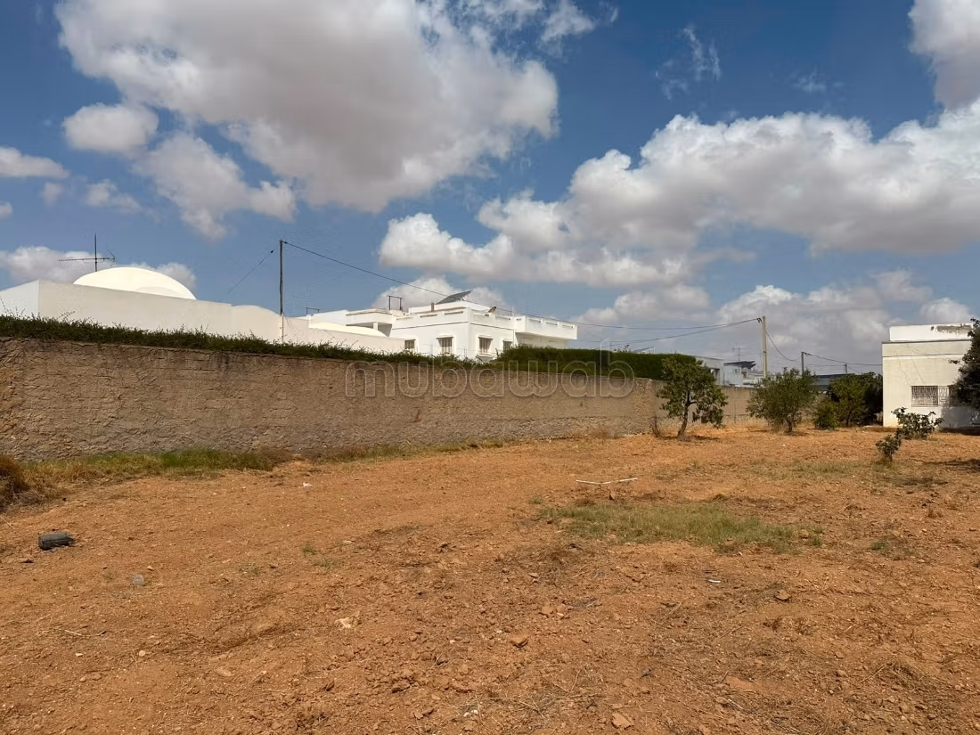 Terrain de 1 334 m² à vendre – Route El Ain Km 4